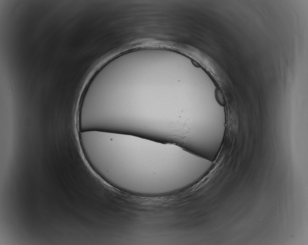 X0000098051247200803280724