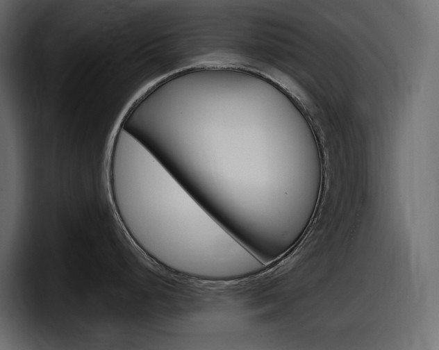 X0000098051248200803280724