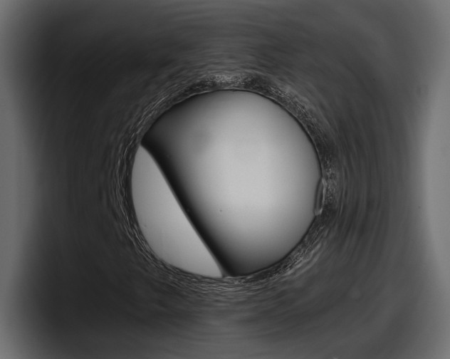 X0000098051249200803280723