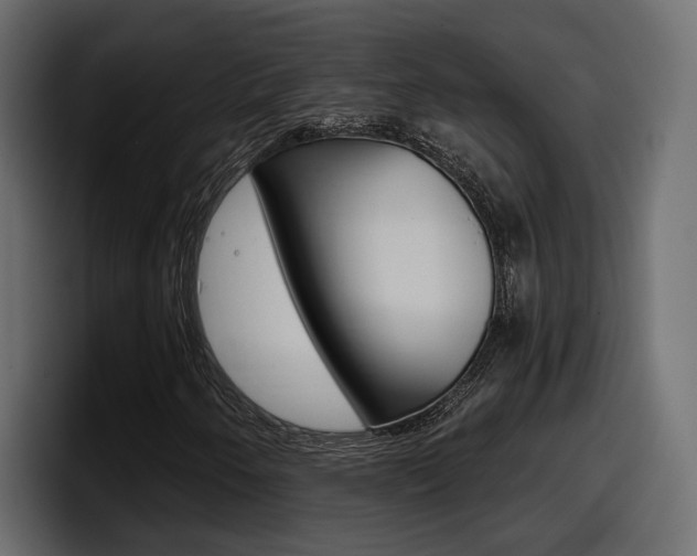 X0000098051250200803280723