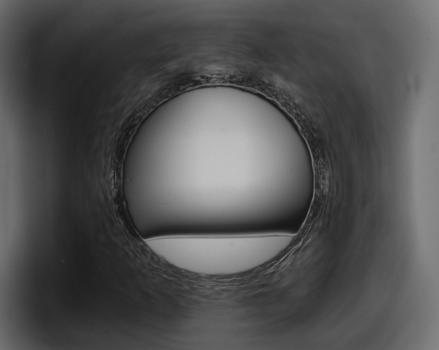 X0000098051253200803280723