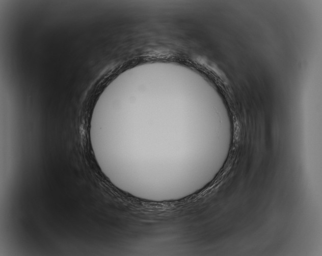 X0000098051254200803280723