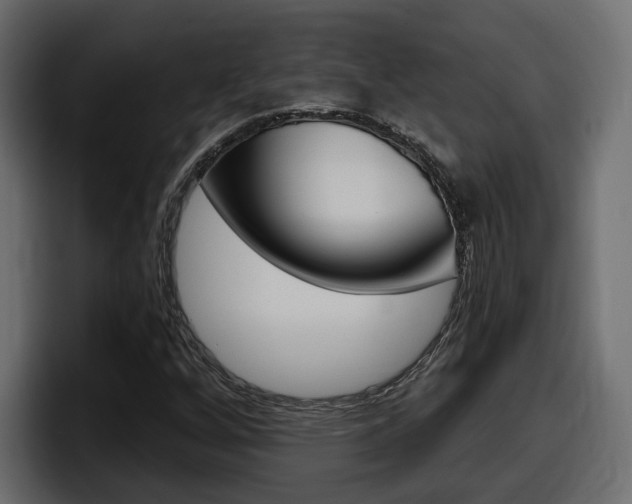 X0000098051256200803280723