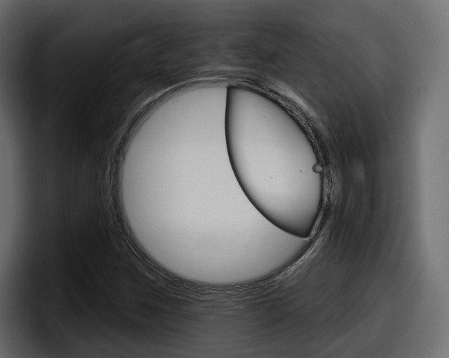 X0000098051259200803280723