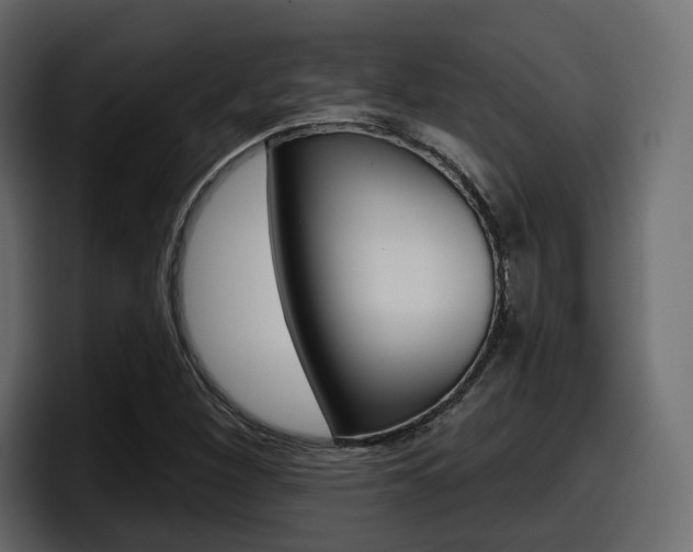 X0000098051260200803280723