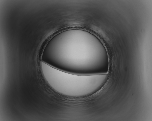 X0000098051261200803280723