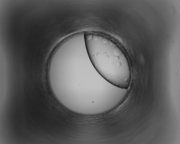 X0000098051263200803280723