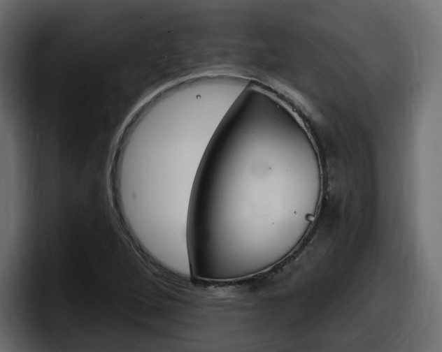 X0000098051264200803280723