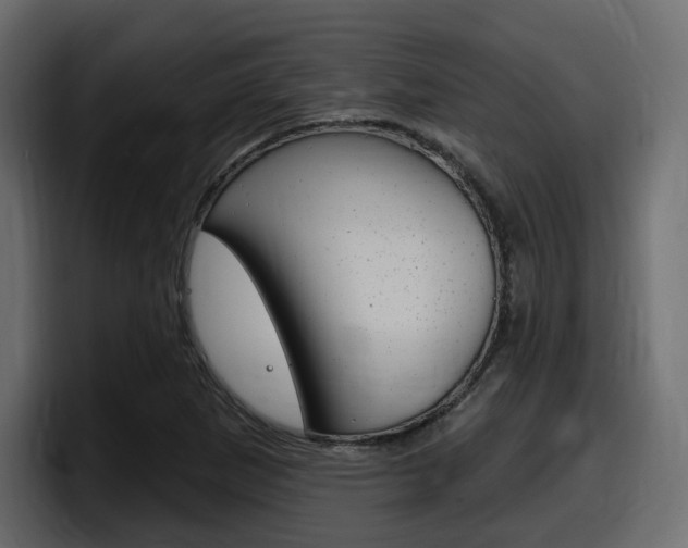 X0000098051265200803280723