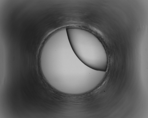 X0000098051267200803280723