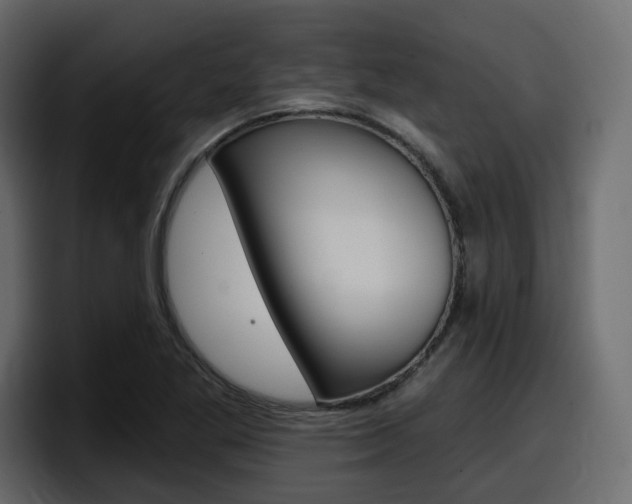 X0000098051269200803280723