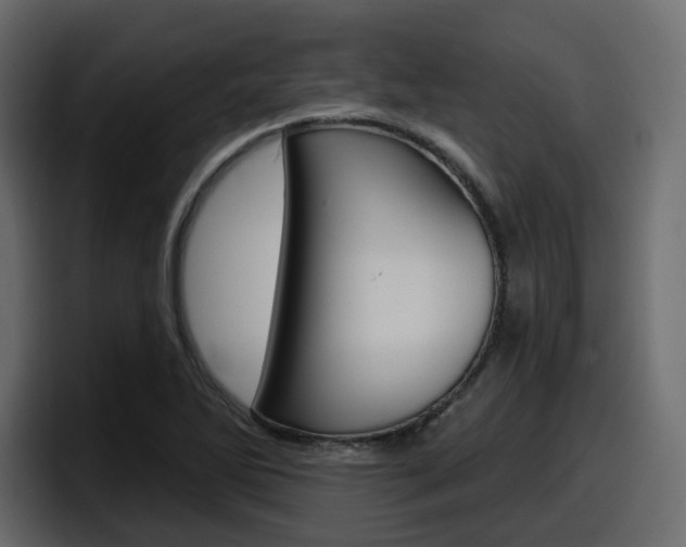 X0000098051270200803280723