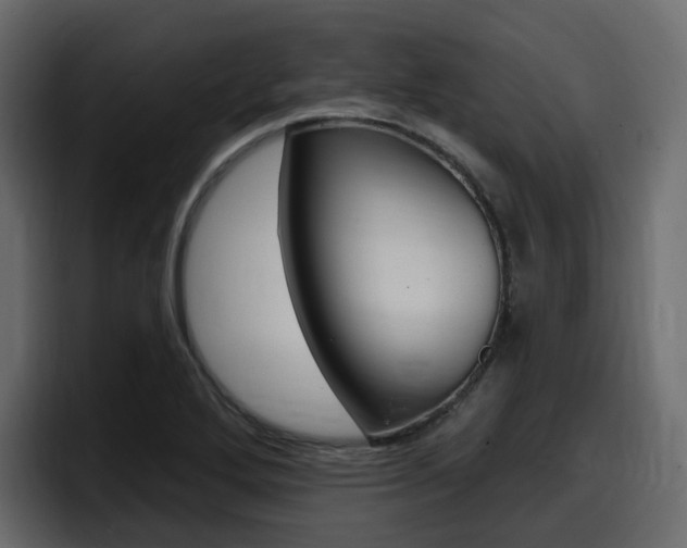 X0000098051272200803280723