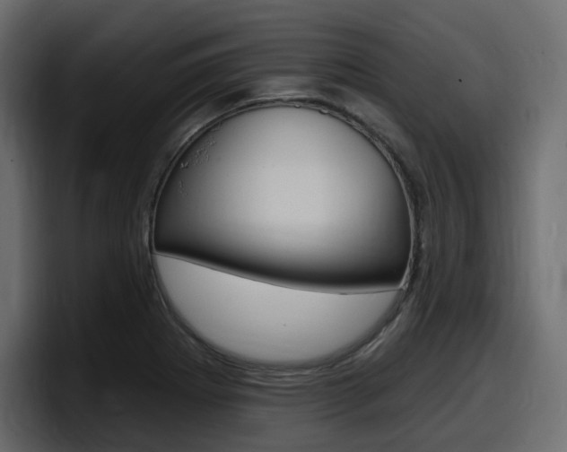 X0000098051273200803280723