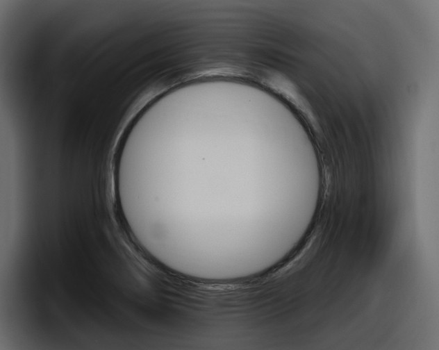 X0000098051274200803280723