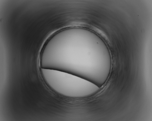 X0000098051275200803280723
