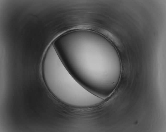 X0000098051276200803280723