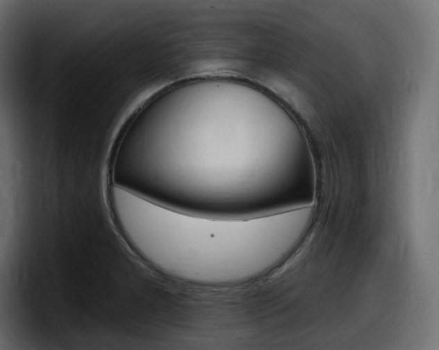 X0000098051277200803280723