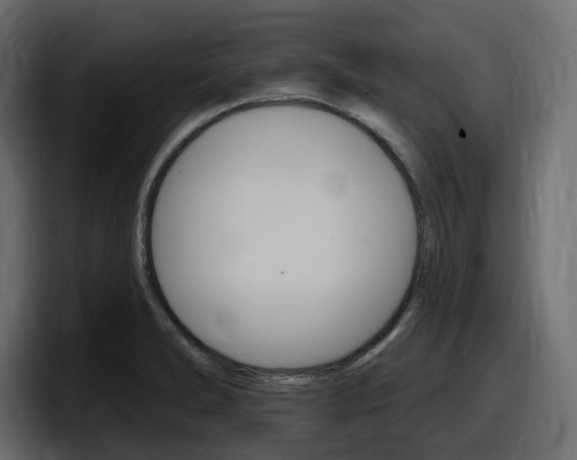 X0000098051278200803280723