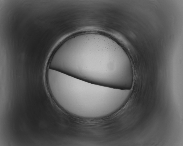 X0000098051279200803280723