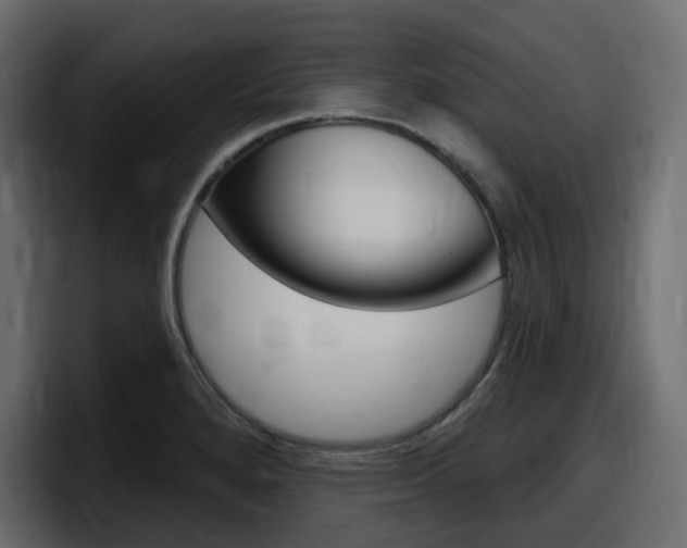 X0000098051280200803280723