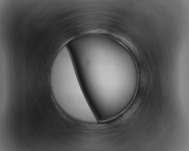 X0000098051281200803280723