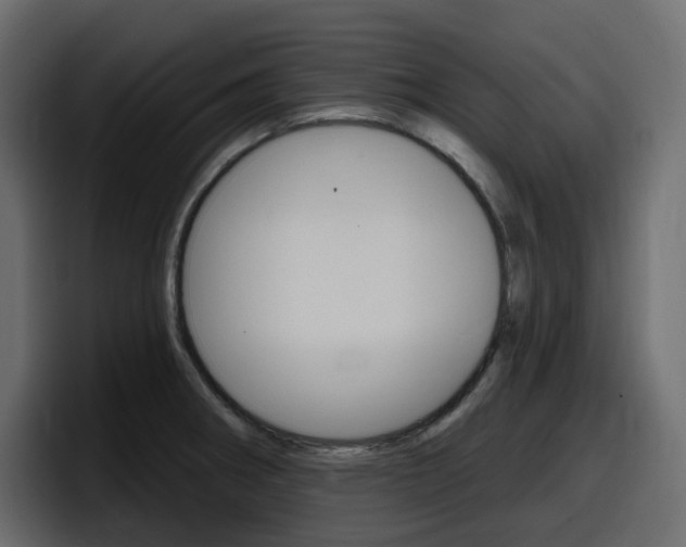 X0000098051282200803280723