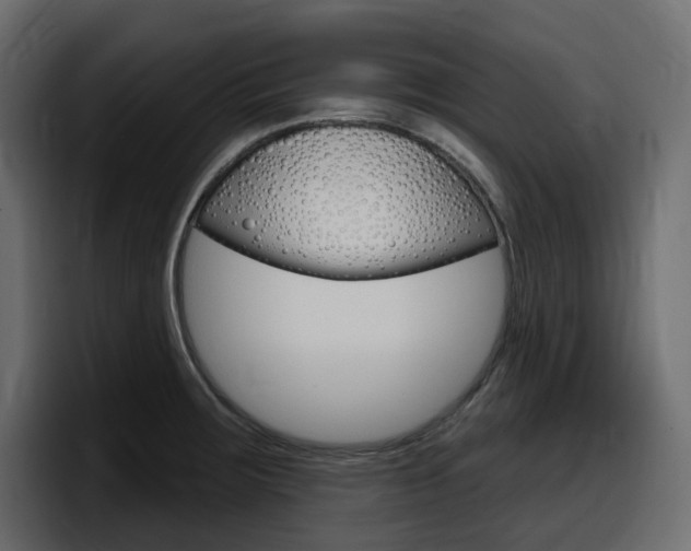 X0000098051283200803280723