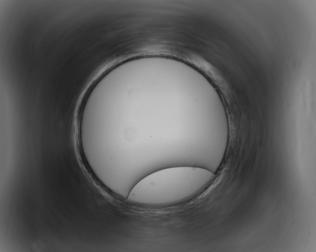 X0000098051286200803280723