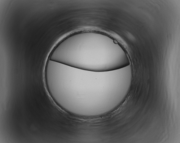 X0000098051287200803280723