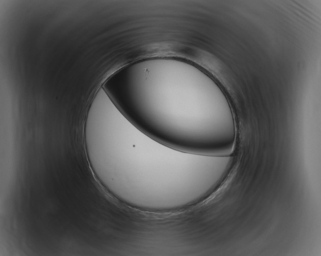 X0000098051289200803280723