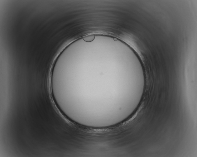 X0000098051290200803280723