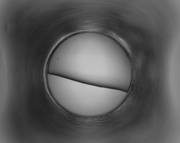 X0000098051291200803280723