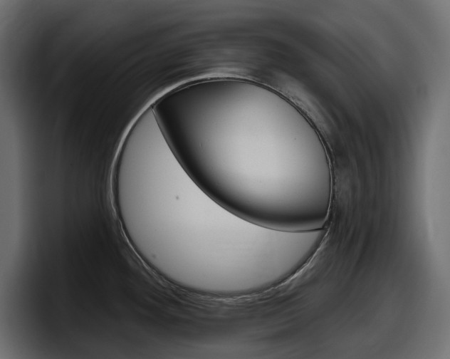 X0000098051292200803280723