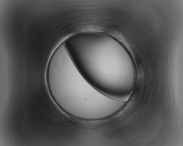 X0000098051293200803280723