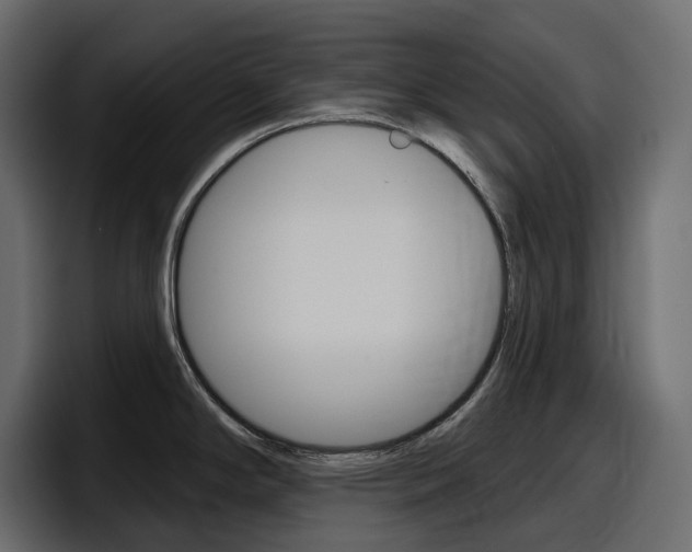 X0000098051294200803280723