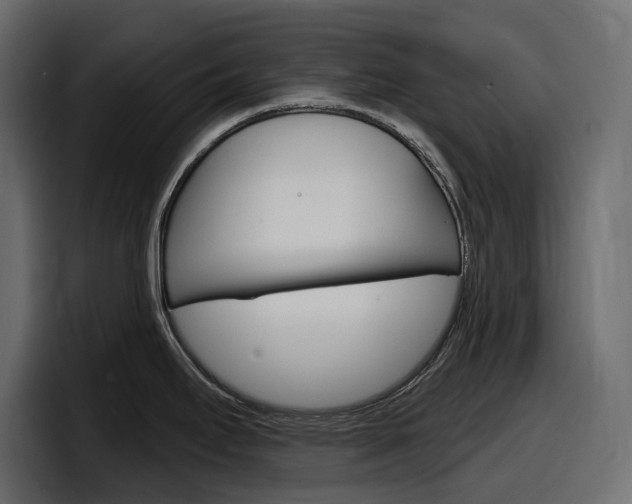 X0000098051295200803280723