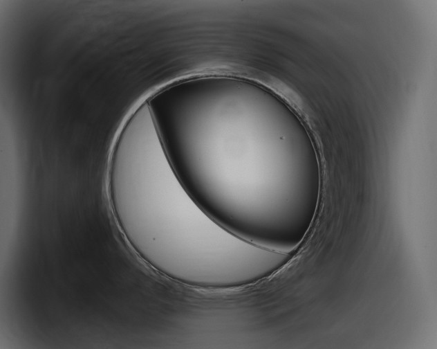 X0000098051296200803280723