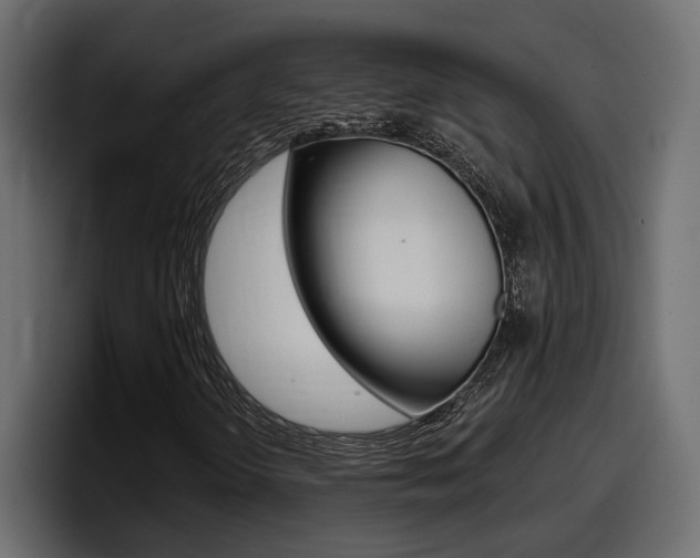 X0000098051298200803280722
