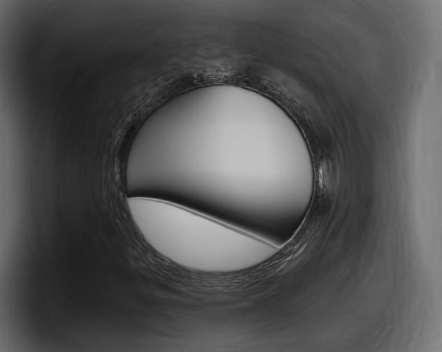 X0000098051299200803280722