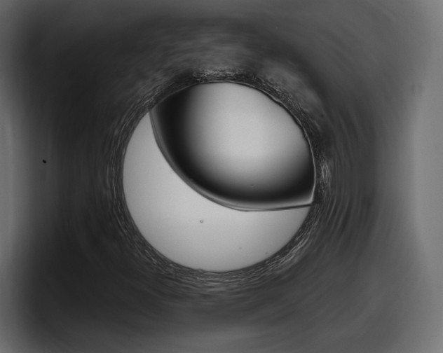 X0000098051300200803280722