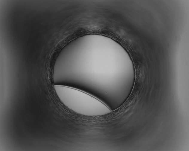 X0000098051301200803280722