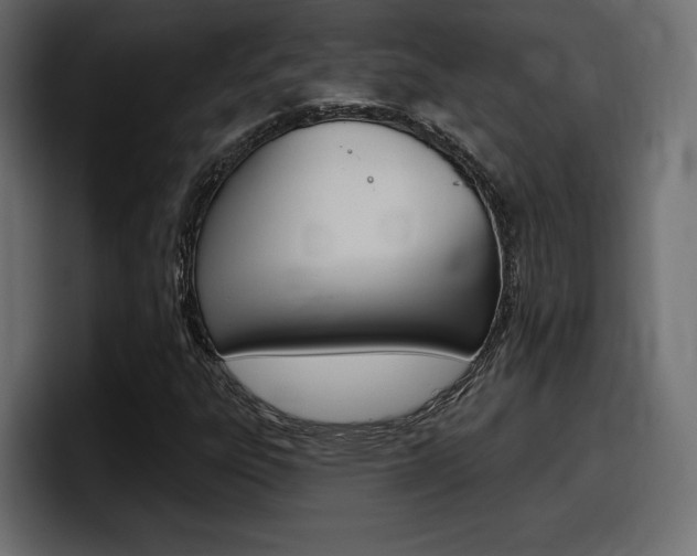 X0000098051303200803280722