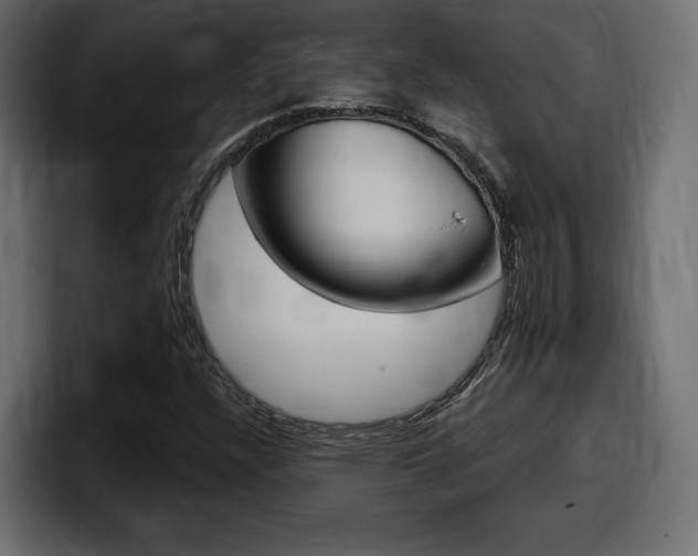 X0000098051304200803280722