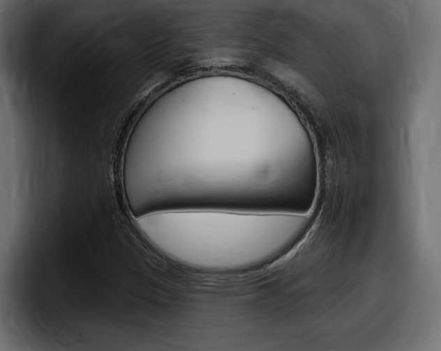 X0000098051305200803280722