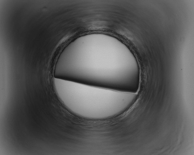X0000098051306200803280722