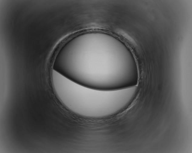 X0000098051310200803280722