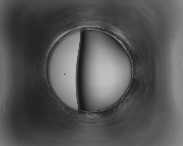 X0000098051312200803280722