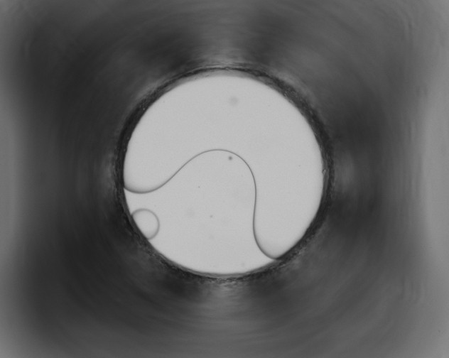 X0000098051314200803280722