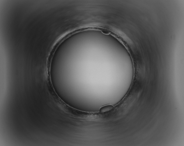 X0000098051316200803280722